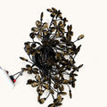 Thessaire Faceted Floral Wall Sconce