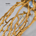 Slade branch crystal wall sconce - close-up of the textured gold branch frame